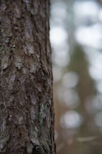 I took a walk with a friend and then visited another