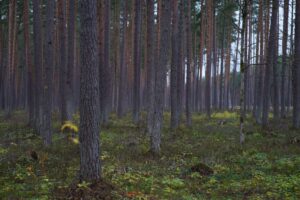 I took a walk with a friend and then visited another