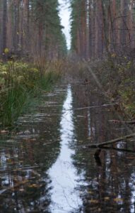 I took a walk with a friend and then visited another