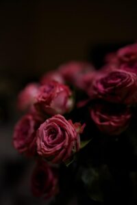 A wonderful Saturday morning at home