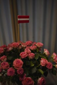 A wonderful Saturday morning at home